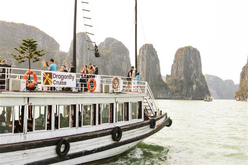Charming Vietnam Travel - Halong Bay Day Tours