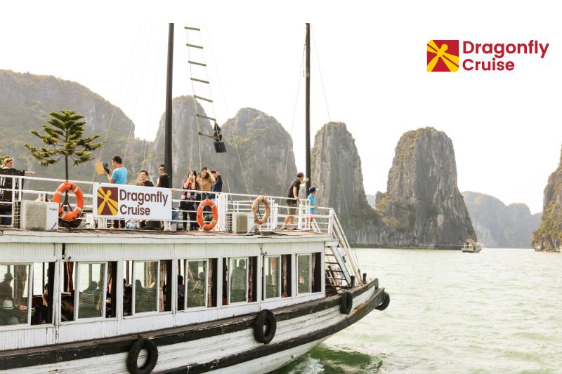 Halong Join in Day Tour 4 Hours Cruising and Expressway Transfer (DF1)